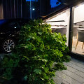 Automobilis įvažiavo į vie&scaron;butį