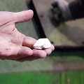 Rekordinis narkotikų kiekis sudegintas