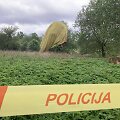 Oro baliono nelaimė Vilkų kampo kaime