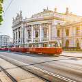 1. Viena