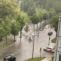 Alytuje liūtis skandina gatves