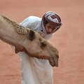 Berniukas žaidžia su kupranugariu Saudo Arabijoje