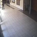 Paveikslą terliojantį vandalą užfiksavo vaizdo kameros
