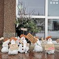 Pirmadienio rytą Klaipėdos rajono savivaldybės valdininkus pasitiko besmegenių protestas.