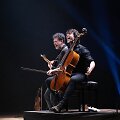 Klaipėdos violončelės festivalis 