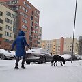 Vilniečiai turėjo darbo valydami nuo sniego automobilius