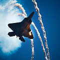 JAV naikintuvas F-22