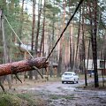 Stipraus vėjo padariniai Vilniaus mieste ir apylinkėse