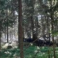 Kretingos rajone pirmadienio popietę degė mi&scaron;kas