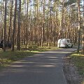 Antradienio pavakarę &bdquo;Seat Toledo&ldquo; vairuotojas, bandęs įveikti dviračių taką, kelionę baigė atsitrenkęs į medžius.