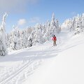Slidinėjimas Čekijoje
