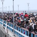 Į Palangą suplūdo stintų mėgėjai