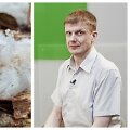 Mokslininkas pasakė, kokių sąlygų reikia, kad susidarytų ledo plaukai