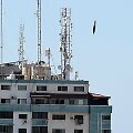 Aviacinė bomba, krentanti ant pastato &bdquo;Jala Tower&ldquo;