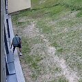 Telefono pasisavinimu įtariamas asmuo