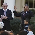 Barackas Obama Padėkos dienos renginiuose Baltuosiuose rūmuose