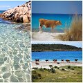 Karvių paplūdimys Sardinijoje