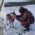 Deividas Grybas ir i&scaron;gelbėtas stirniukas
