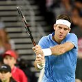 Juanas Martinas del Potro įspūdingame Daviso taurės trileryje patiesė Mariną Čiličių