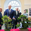 Tarptautinės bonsai parodos atidarymas