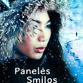 Knyga &bdquo;Panelės Smilos sniego jausmas&ldquo;