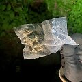 I&scaron;ardytas narkotikų kontrabandininkų tinklas Vilniuje