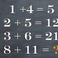 Matematinis galvosūkis &bdquo;Facebook&ldquo; tinkle