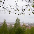 Lietaus gaivinamas Vilnius ir jo gamta