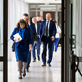 Demokratų frakcija &bdquo;Vardan Lietuvos&ldquo;