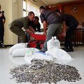 Indonezijoje vyras grąžino 10 tūkst. JAV dolerių skolą savo buvusiai žmonai... monetomis