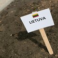Europos Sąjungos žiedo sodinimas Kairėnuose