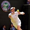 Andy Murray