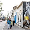 Islandija &ndash; pavyzdys, kad vakcinos veikia