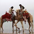 Kupranugariai Jordanijoje