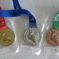Europos čempionato medaliai