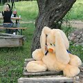 Pliu&scaron;inis žaislas