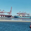  Kompanijos &bdquo;Maersk&ldquo; laivas Volvis Bėjaus uoste (Namibija) dėl medūzų 4 valandas negalėjo i&scaron;plaukti. 
