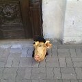 Prie Kauno sinagogos palikta kiaulės galva.