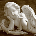 Angelas