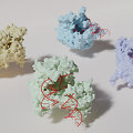 Mittel Biomatter Enzymes