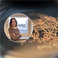 Gydytoja klinkinė farmakologė / Askaridės