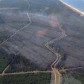 Kur&scaron;ių nerija atsikvėpė &ndash; per kelias valandas beveik 70 hektarų pusiasalio mi&scaron;kų nusiaubęs gaisras numal&scaron;intas.