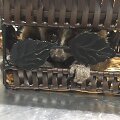 Maskvos oro uoste sulaikyti lemūrai ir beždžionės