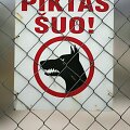 Kęstutis Vanagas nuotr.