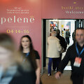 Pelenė