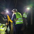 Plungės &scaron;auliai surado dingusią moterį