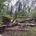 Audra Baltarusijoje: kru&scaron;a ir viesulas