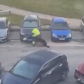 Kadras i&scaron; vaizdo įra&scaron;o