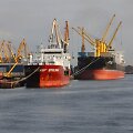 BNS nuotr.