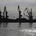 BNS nuotr.
